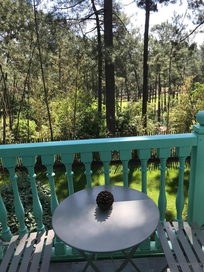 Villa Un Nid Dans La Pinede Lacanau Exterior foto